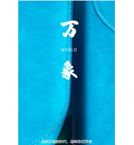 【萬(wàn)象】品類(lèi)濫的時(shí)代，品味彌足珍貴！